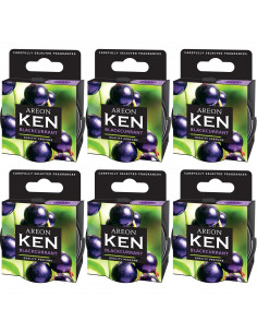 Areon KEN Duftdose in der Duftrichtung Johannisbeere | areon-fresh.de die kleinen und praktischen premium Auto Duftdosen zum Mit
